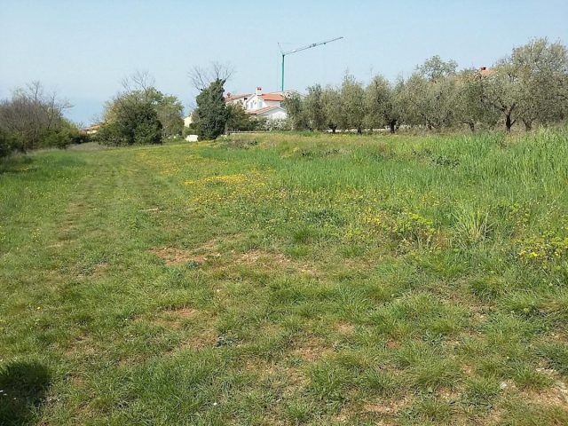 Grundstück Zu verkaufen - Istarska Tar-vabriga - foto 2/13