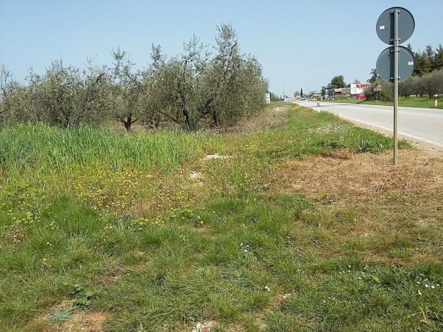 Grundstück Zu verkaufen - Istarska Tar-vabriga - foto 4/13