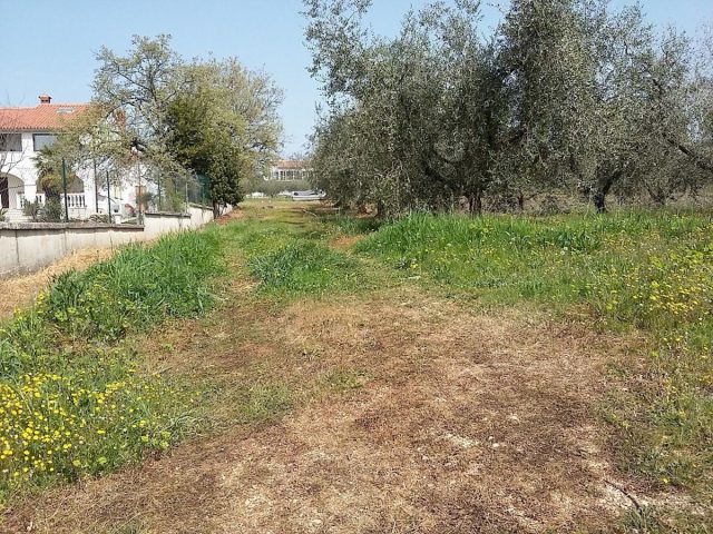 Grundstück Zu verkaufen - Istarska Tar-vabriga - foto 5/13