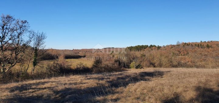 Pozemek Na prodej - Istarska Grožnjan - foto 2/20