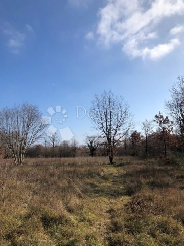 Działka na sprzedaż 4538 m² – Krnica
