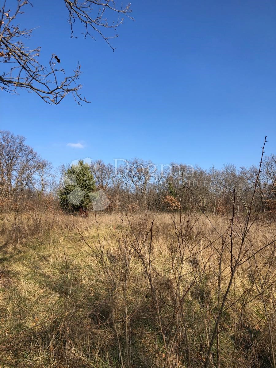 Terreno In vendita - ISTARSKA  MARČANA 