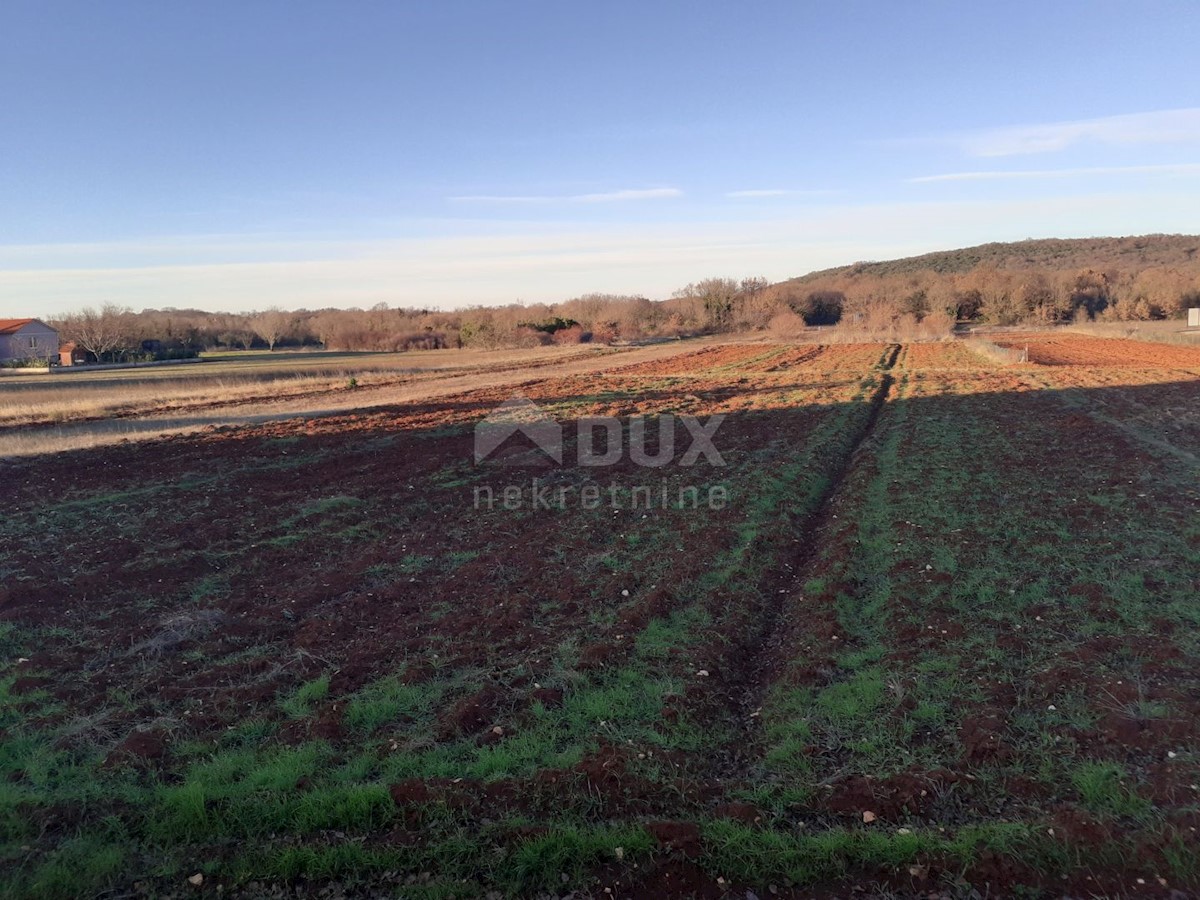 Land For sale - ISTARSKA  ROVINJ 