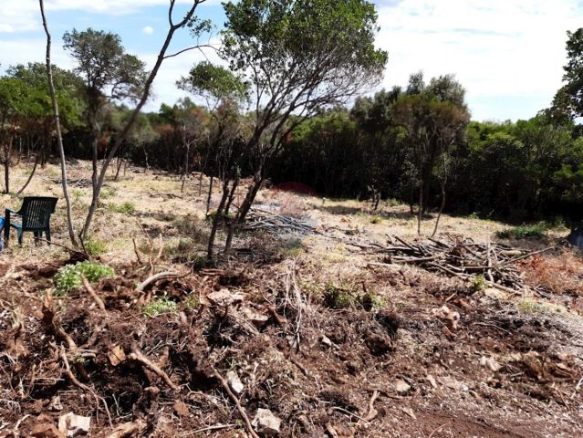Pozemek na prodej 5700 m² – Rovinjsko Selo