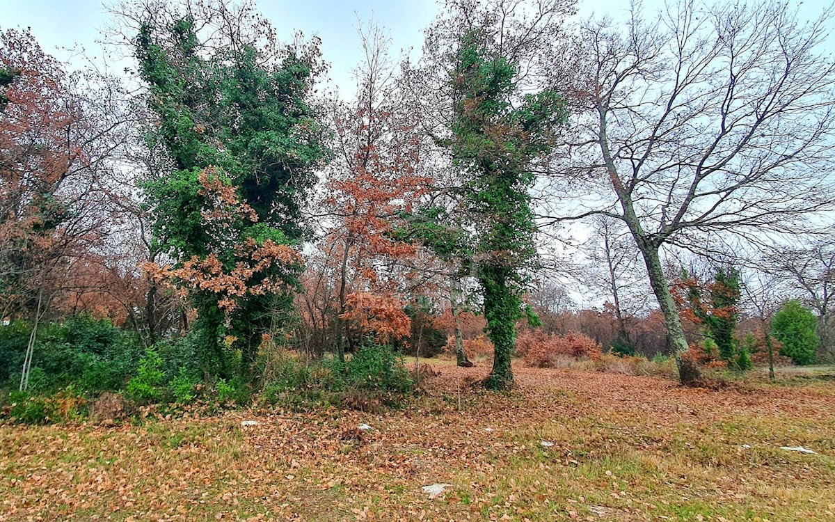 Pozemek Na prodej - ISTARSKA  POREČ 