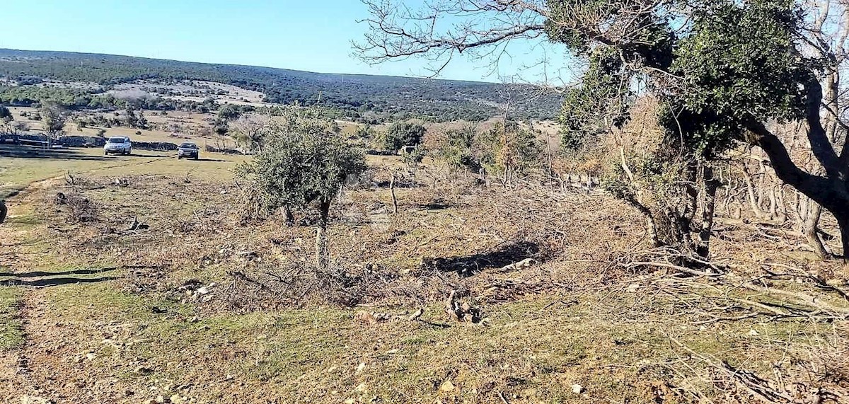 Terreno In vendita - PRIMORSKO-GORANSKA  CRES 