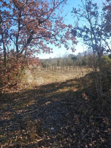 Terrain À vendre - Istarska Svetvinčenat - foto 2/3