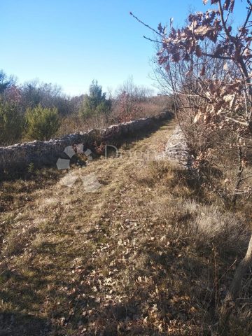 Terrain À vendre - Istarska Svetvinčenat - foto 3/3