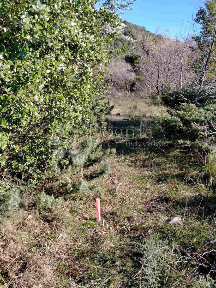 Terreno In vendita - ZADARSKA  STARIGRAD 