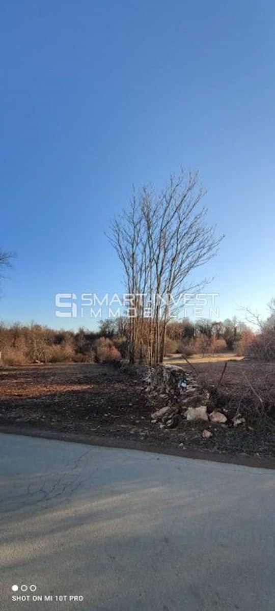 Land For sale - ISTARSKA TINJAN