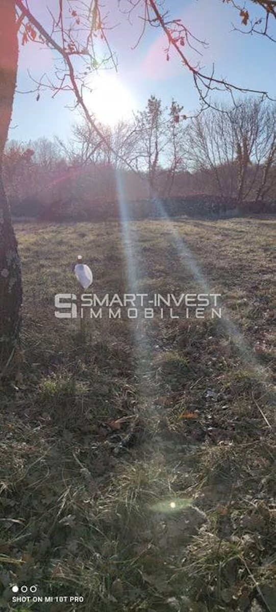 Land For sale - ISTARSKA TINJAN