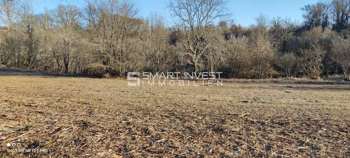 Land For sale - ISTARSKA TINJAN