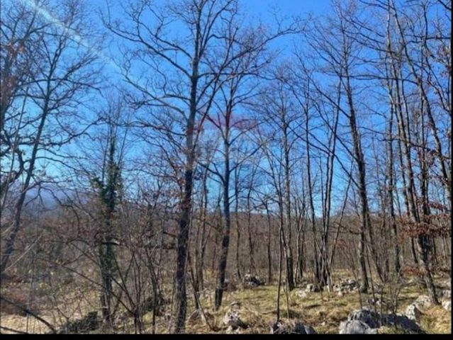 Terreno In vendita - Primorsko-goranska Matulji - foto 5/5
