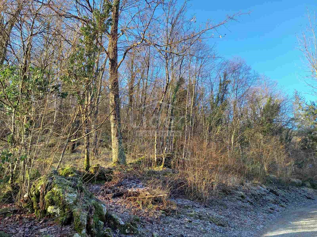 Terrain À vendre - Primorsko-goranska Matulji - foto 1/2