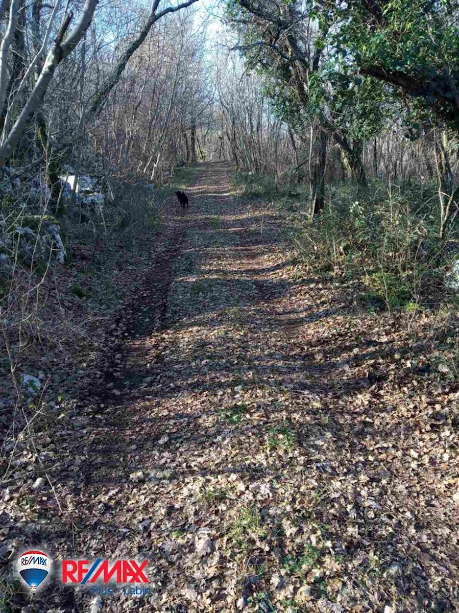 Pozemok Na predaj - ISTARSKA  SVETA NEDELJA 