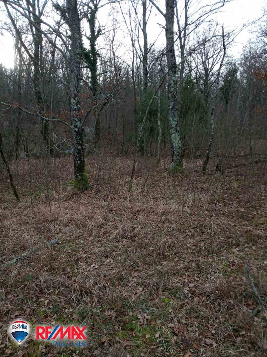 Land For sale - ISTARSKA  SVETA NEDELJA 