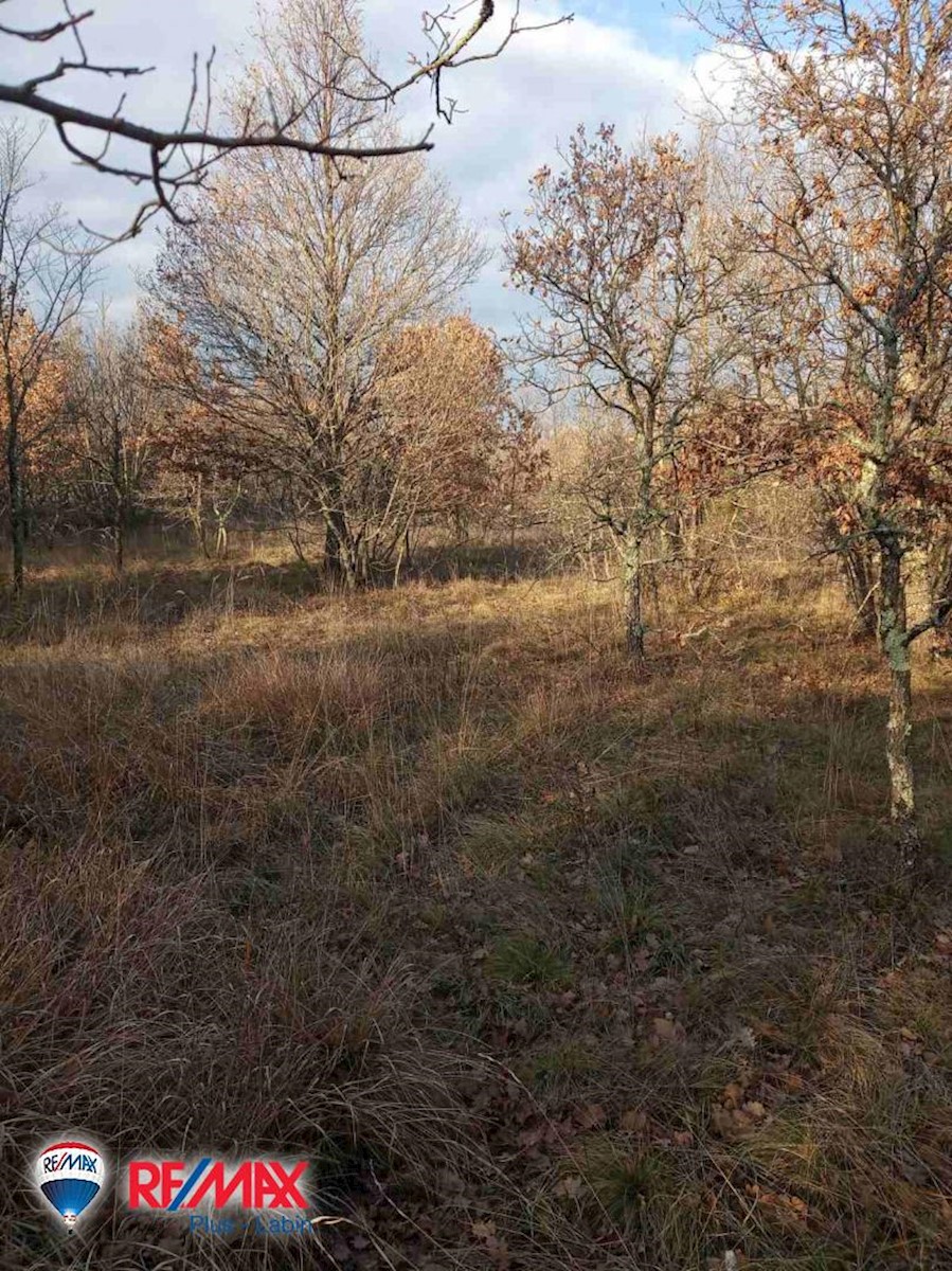 Land For sale - ISTARSKA  SVETA NEDELJA 