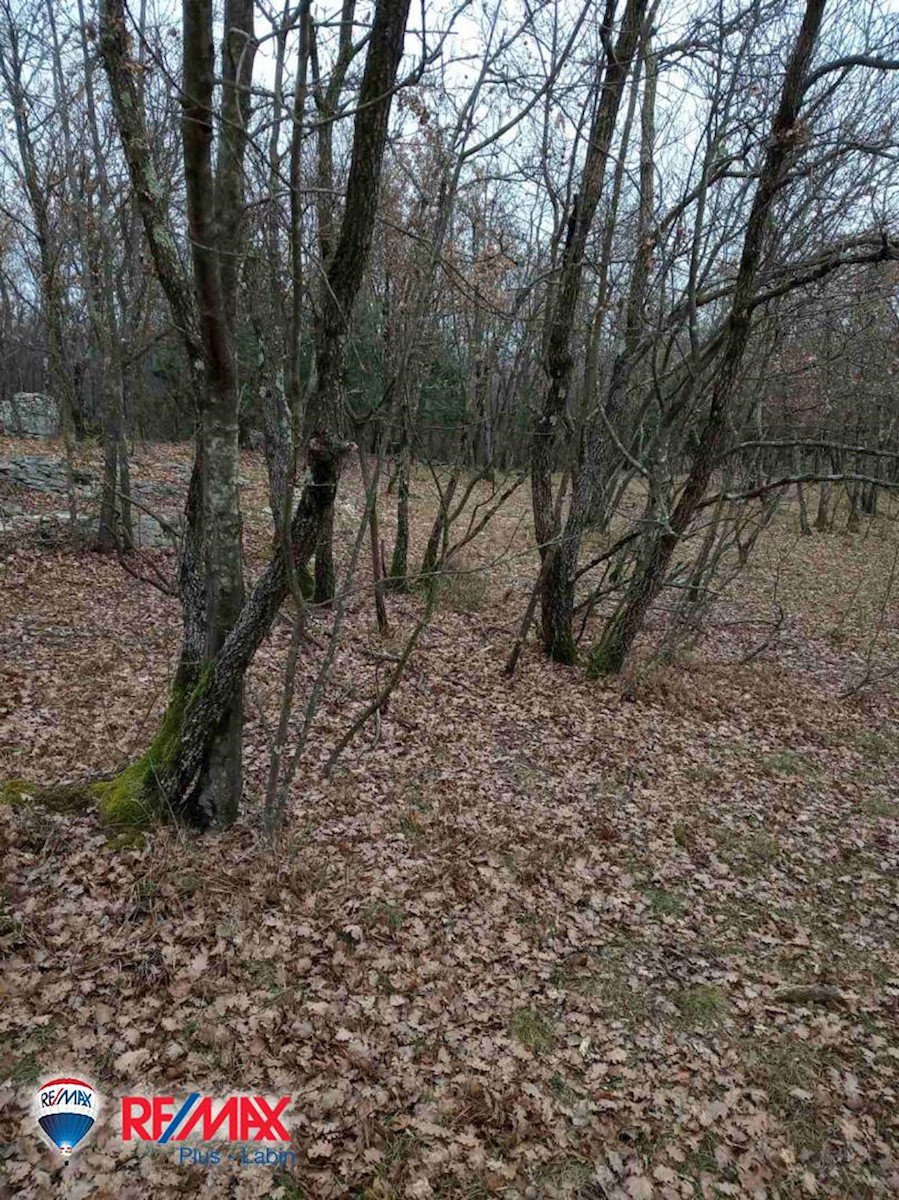 Land For sale - ISTARSKA  SVETA NEDELJA 