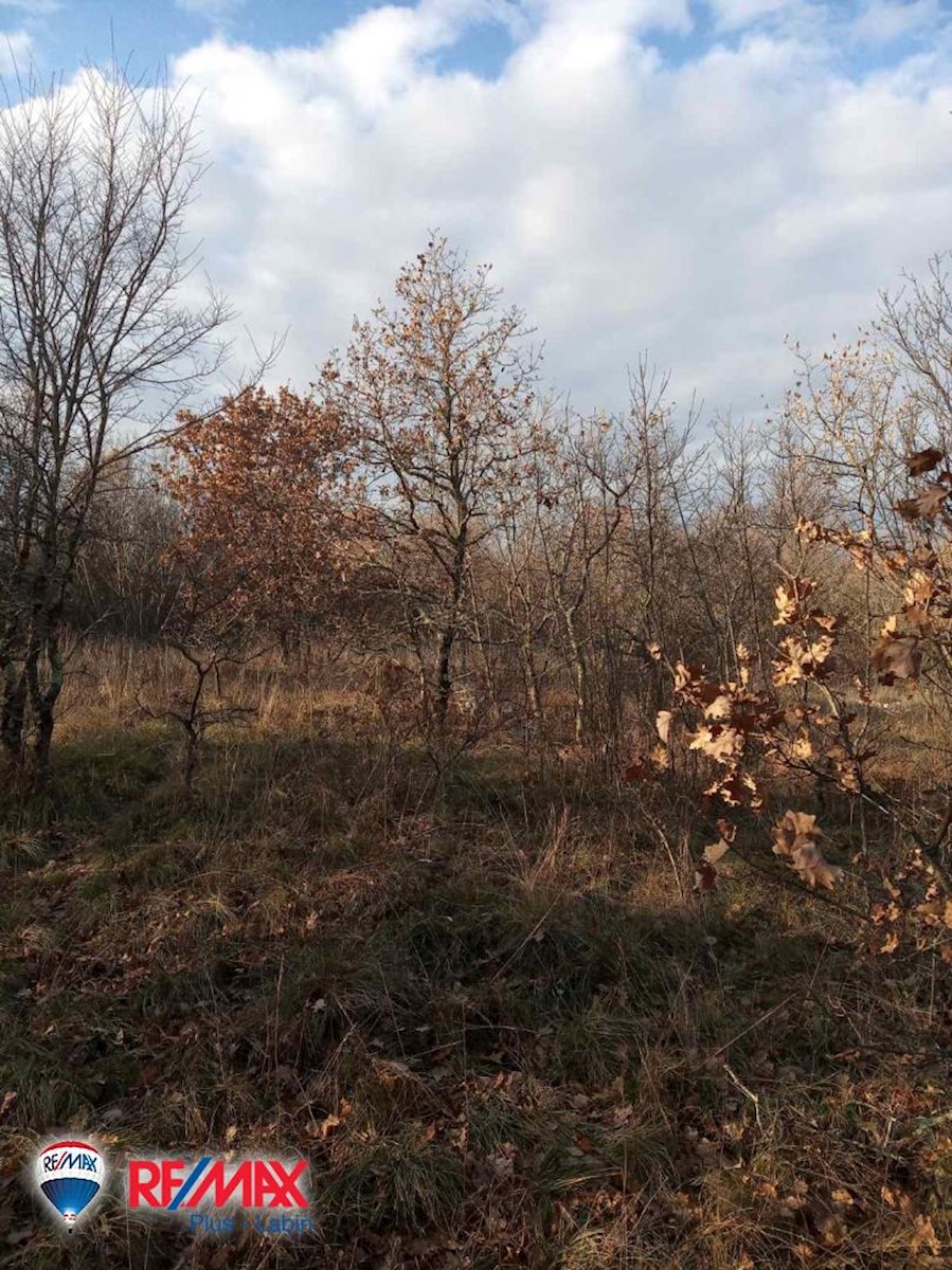 Terreno In vendita - ISTARSKA  SVETA NEDELJA 