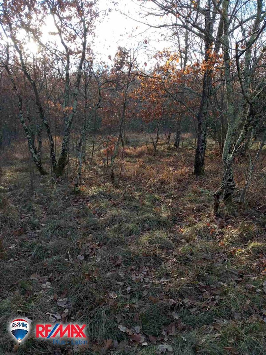 Zemljište Na prodaju - ISTARSKA  Sveta Nedelja