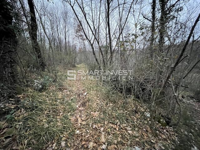 Land For sale - Primorsko-goranska Matulji - foto 4/6