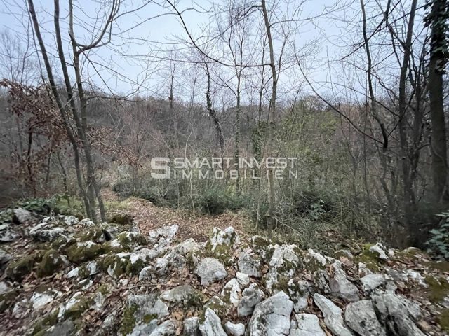 Land For sale - Primorsko-goranska Matulji - foto 5/6