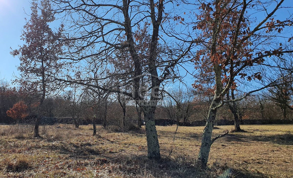 Pozemok Na predaj - ISTARSKA TINJAN