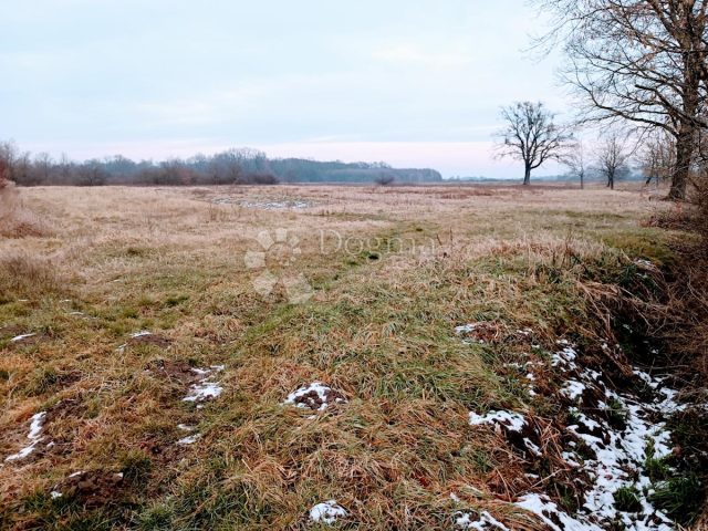 Terrain à vendre 9950 m² – Gračec