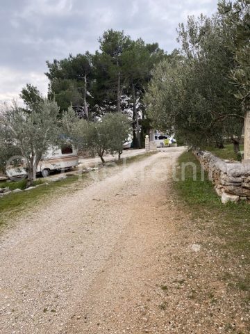 Business premises for sale 4033 m² – Bol