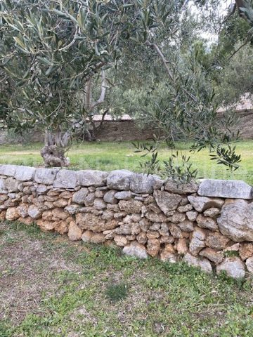 Poslovni prostori Naprodaj - Splitsko-dalmatinska Brač - foto 2/11