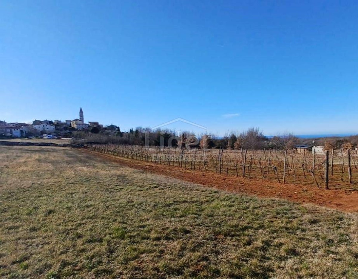 Terreno In vendita - ISTARSKA  VIŠNJAN 