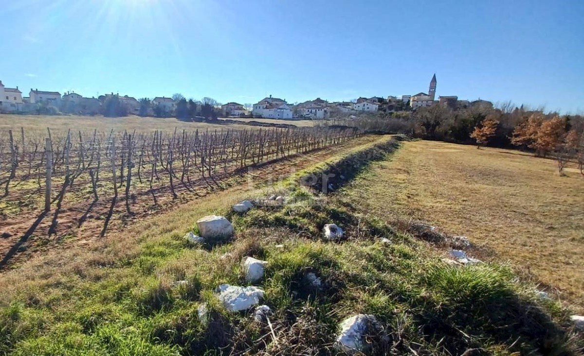 Terreno In vendita - ISTARSKA  VIŠNJAN 