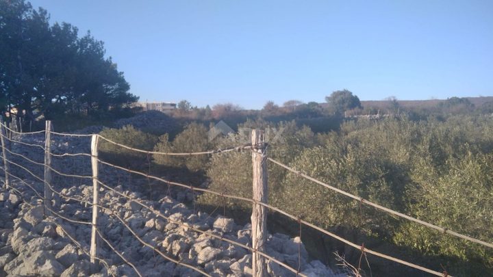 Terrain À vendre - Primorsko-goranska Krk - foto 3/10
