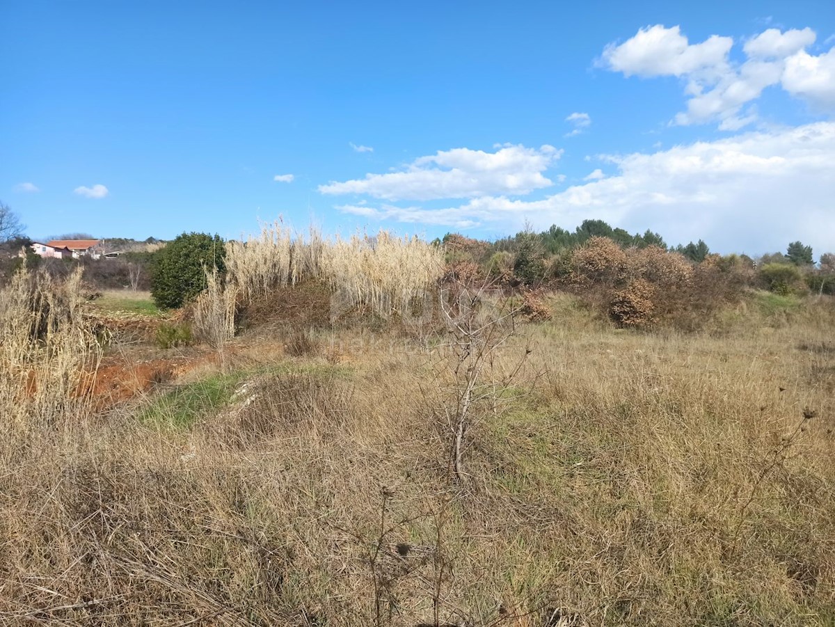 Land For sale - ISTARSKA  Pula