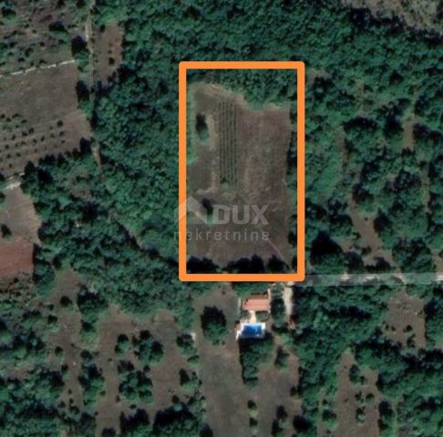 Grundstück zu verkaufen 6423 m² – Sveti Lovreč Pazenatički
