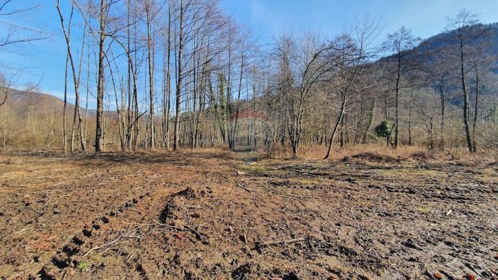 Land For sale BROD NA KUPI