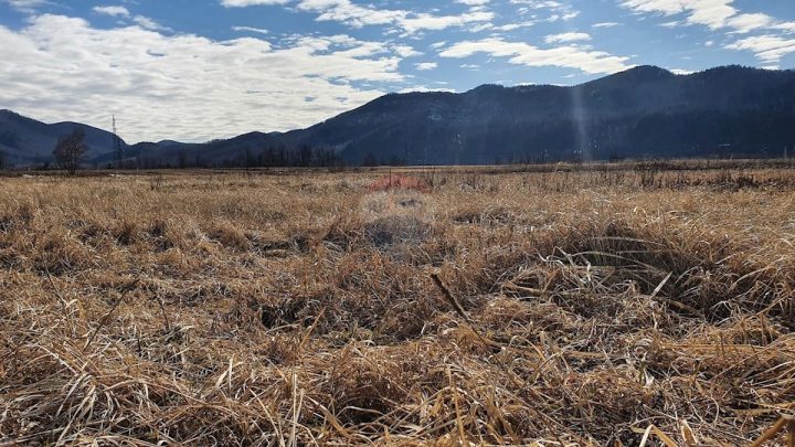 Pozemek na prodej 2960 m² – Lič
