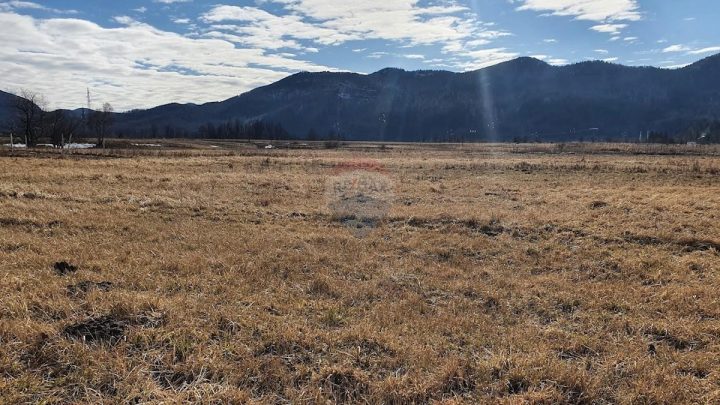 Pozemek na prodej 1910 m² – Lič