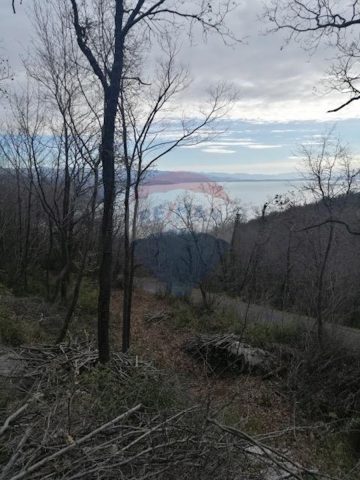 Land For sale - Primorsko-goranska Matulji - foto 3/3