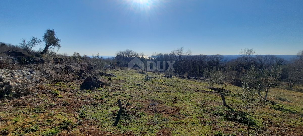 Land For sale - ISTARSKA  RAŠA 