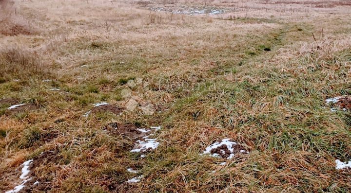 Pozemok na predaj 4290 m² – Slakovci
