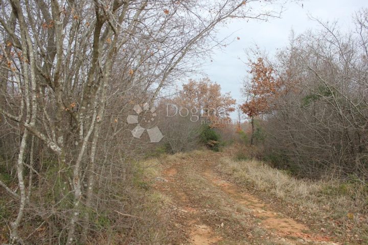 Land For sale - Istarska Vodnjan - foto 2/3