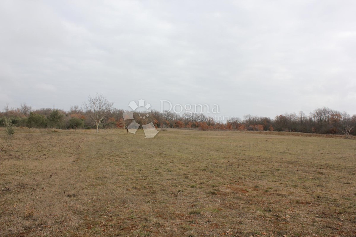 Terrain À vendre - ISTARSKA  Vodnjan