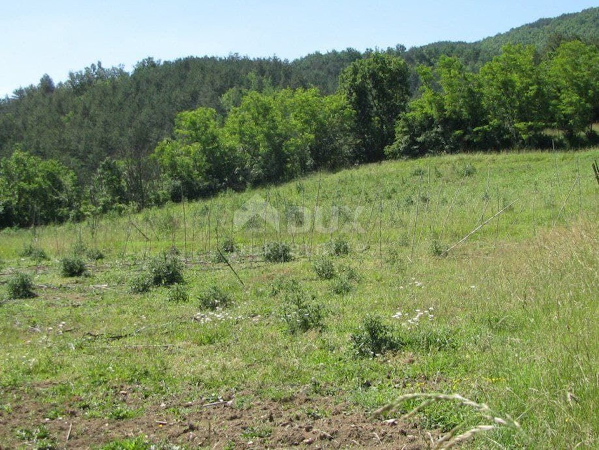 Kuća Na prodaju - ISTARSKA  BUZET 