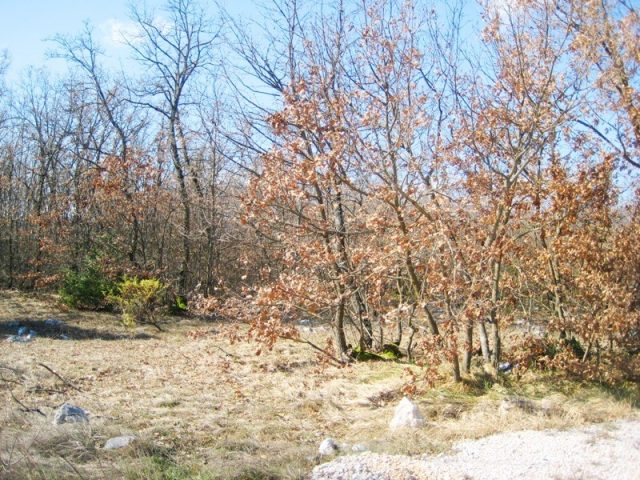 Parcela Na predaj - Splitsko-dalmatinska Dicmo - foto 2/2