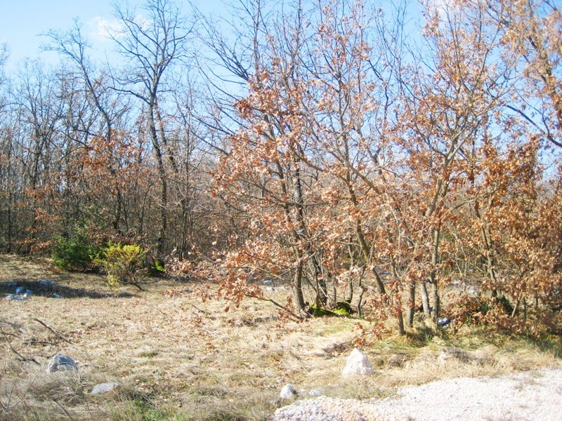 Pozemok Na predaj - Splitsko-dalmatinska Dicmo - foto 2/2