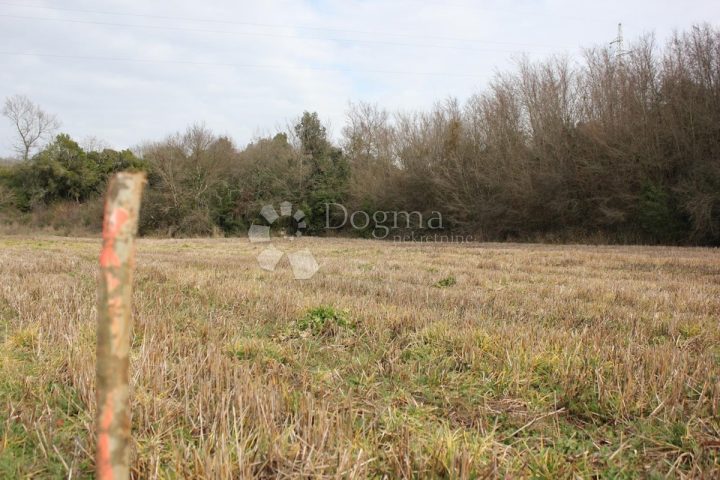 Terreno In vendita - Istarska Vodnjan - foto 2/8