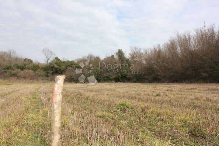 Terreno In vendita - Istarska Vodnjan - foto 4/8