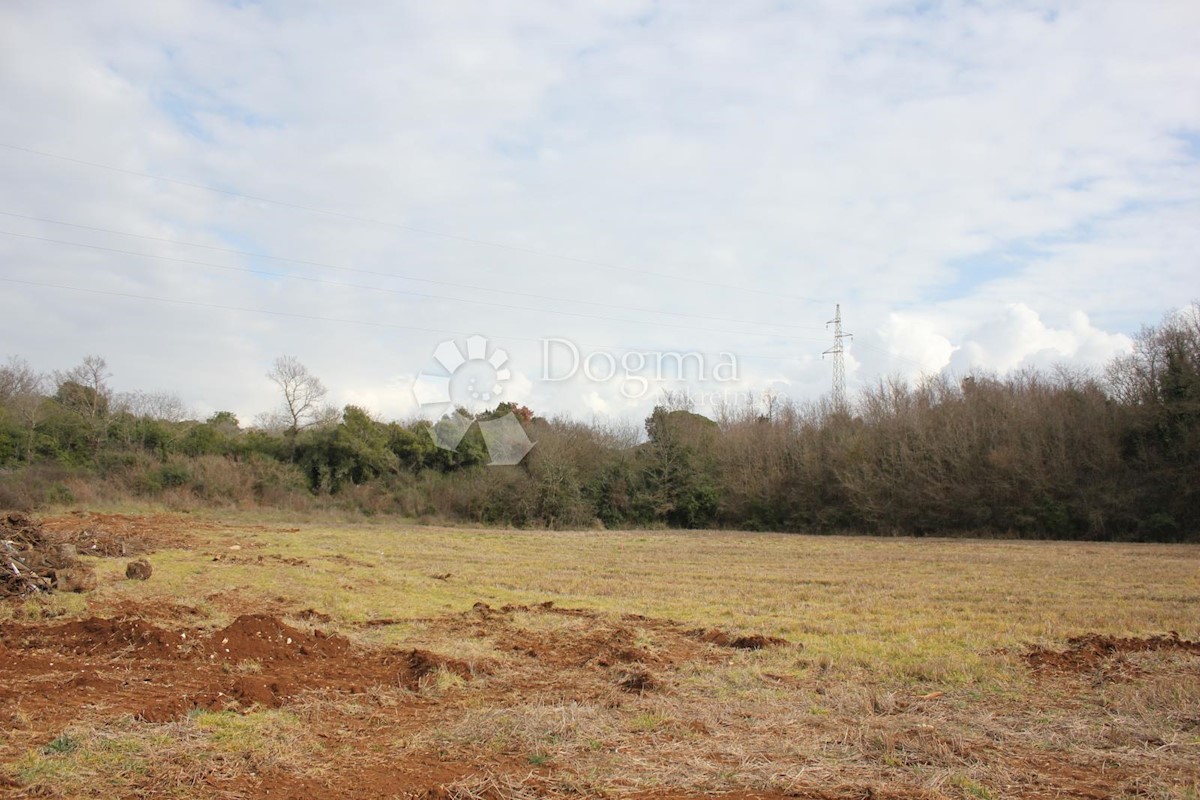 Terrain À vendre - ISTARSKA  Vodnjan