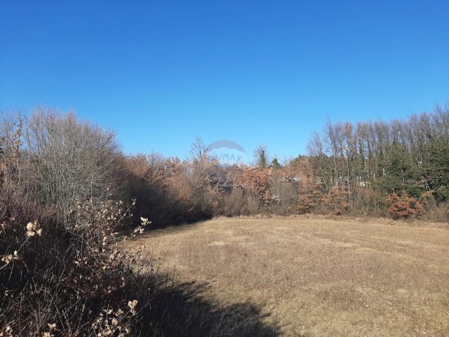 Land for sale 5139 m² – Svetvinčenat